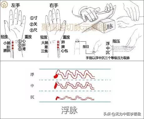 教你给自己把脉（带你入门）