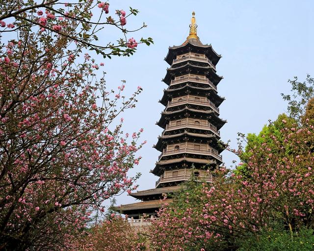 重庆市花