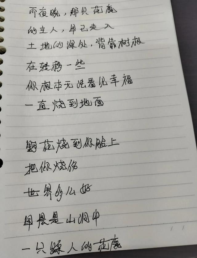 抄书的DAY4