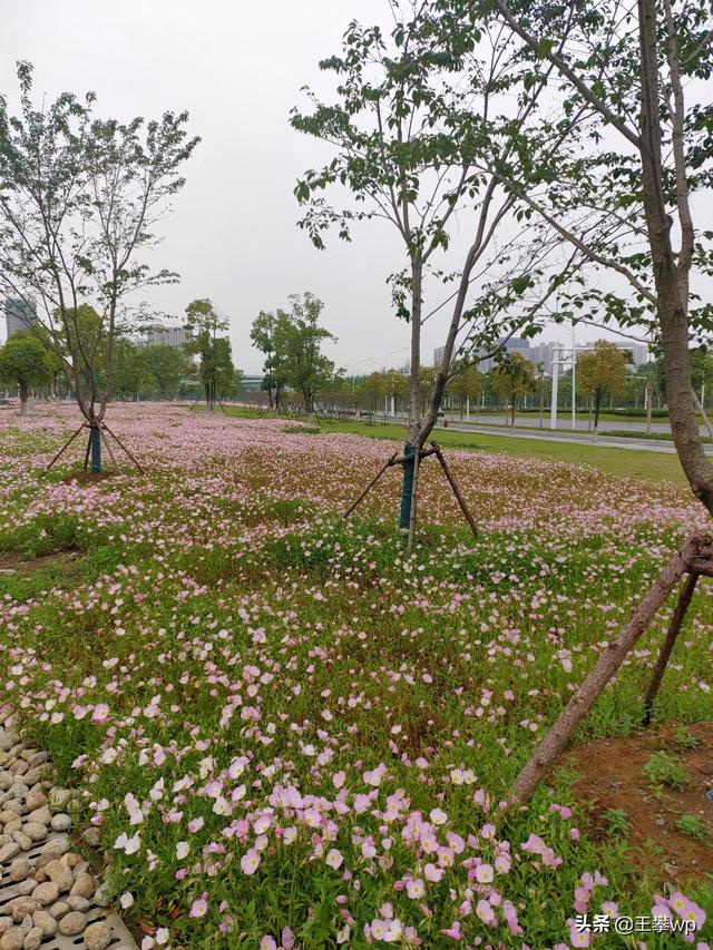 五一劳动节快乐