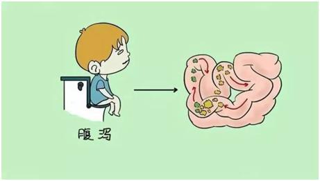 安抚闹脾气的肠道，从饮食上改善这3类肠易激综合症
