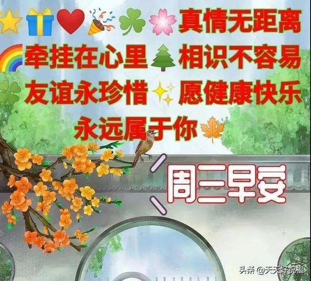 星期三朋友圈早安问候语图片集锦，2022早上好温馨的早安祝福语句