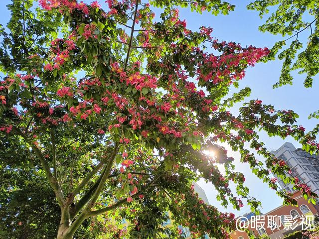 生完孩子后我起码老了20岁