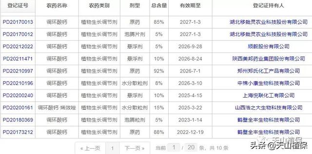 介绍棉花控旺新药剂——调环酸钙，比烯效唑还好，还不易早衰3