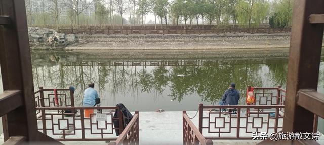 花开杨柳青