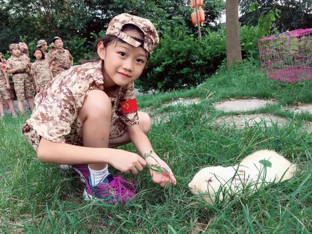 少年特训学校(少年特训学校费用)(图29)