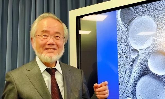 20年产生了19个诺贝尔奖！日本凭什么能拿到这么多？