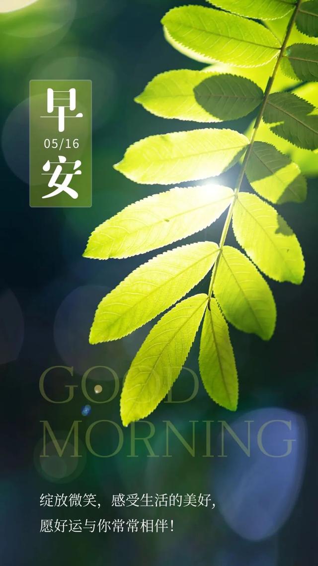 5月16日早安你好 | 朝着阳光出发吧