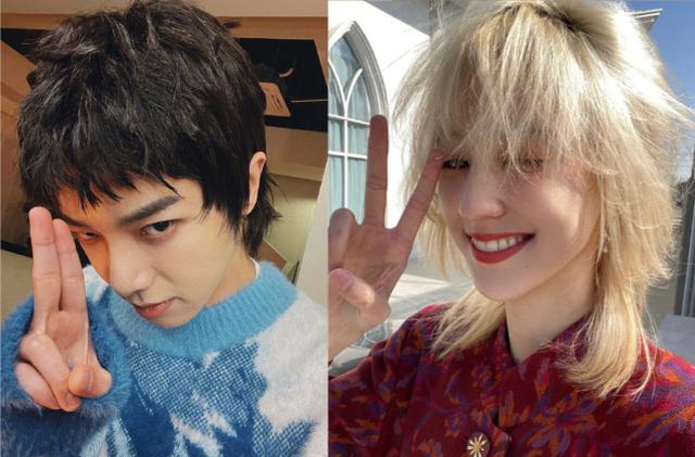 「重大消息」华晨宇生日快乐头像(把微博头像换成了华晨宇的)