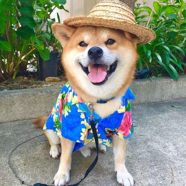 家里有孩子的 父母回家记得带上这两样东西