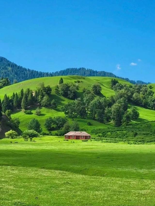 [苹果快乐星球语音群发]，微信怎么上传动态图到朋友圈