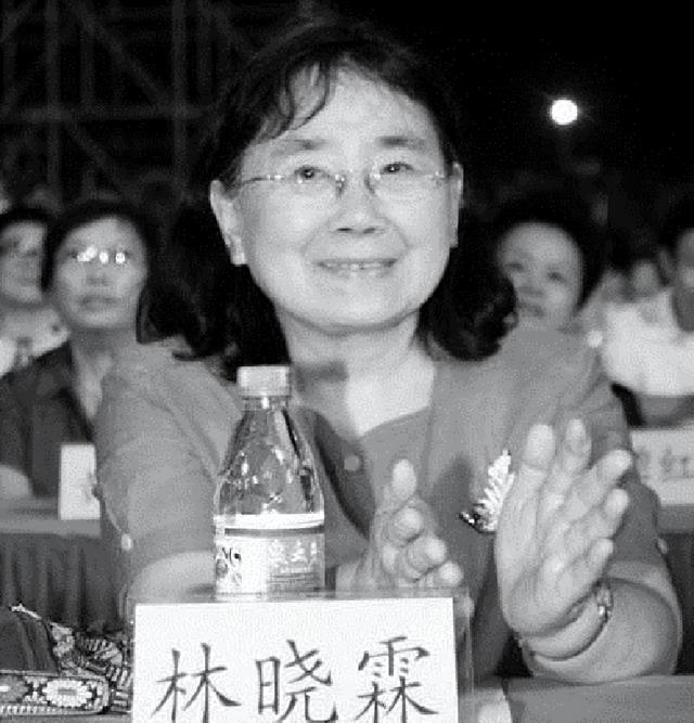 1994年，林彪女儿提出两个请求，陈云急召洪学智：交给你去办