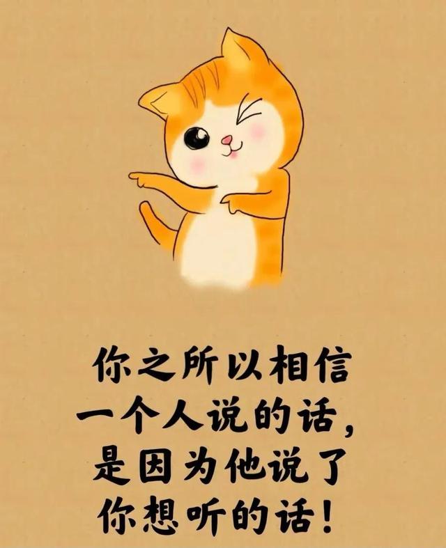 所谓的人生就是⋯