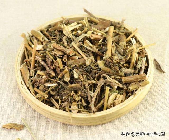 夏之将至，送你一味白花蛇舌草，解热毒、消疮痈、利小便