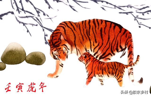 属虎本命年2022年的运气(1998年本命年属虎运气怎么样)