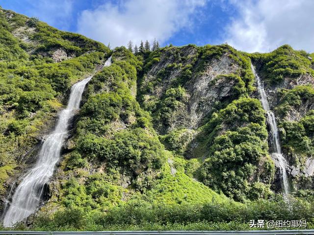 夢幻荒野阿拉斯加（14）Valdez看熊抓魚和三文魚洄遊