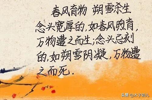 抄书有收益第9天：努力只能及格，拼命才能优秀