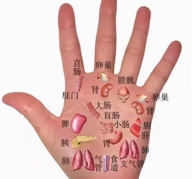 中医直言：肝郁气滞，气大伤身？中医教你这样调理