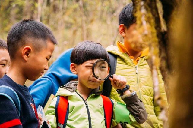 每天30分钟，带2岁宝宝玩出“超强专注力”，方法简单无保留分享