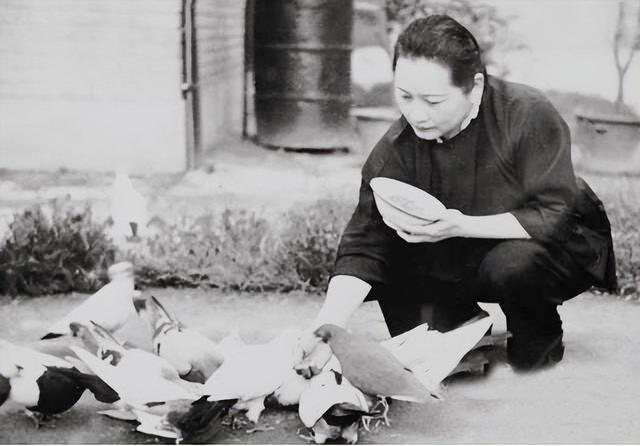 1949年，回家被战士挡在门口，生气的宋庆龄直冲三野司令部