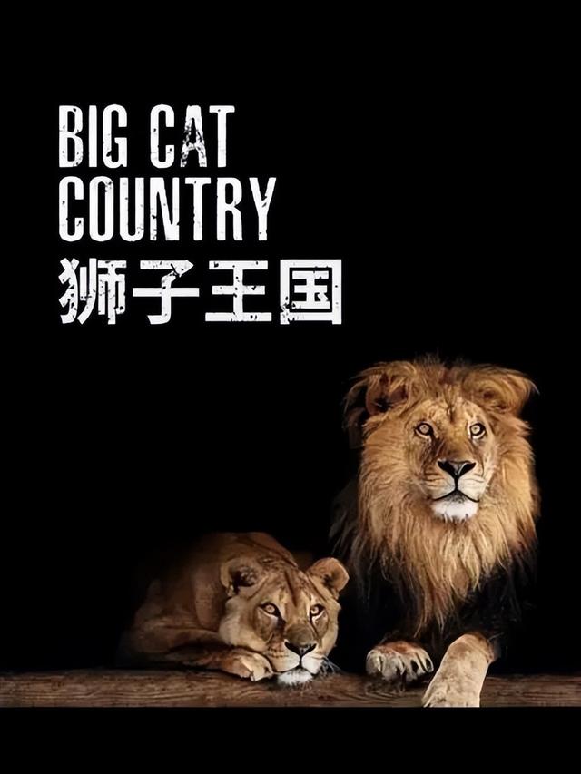 专区辣访 | 清明假期，这些纪录片想推荐给你