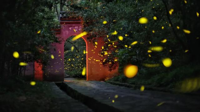 既有悠悠曆史，又有俗世煙火，來南京看看吧