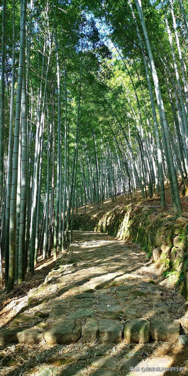 年末了，舉家住到了酒店，爲啥？2021年末我們的隔離生活一