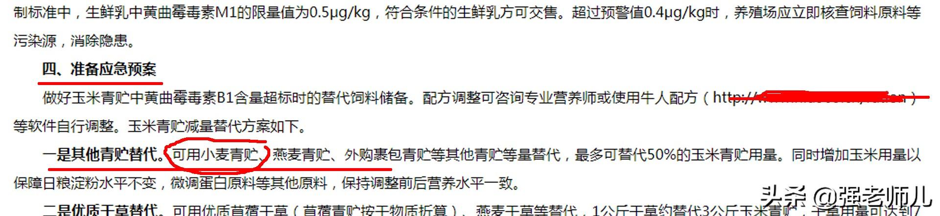 天价收购小麦青储真相大白，养殖户临时应急，大食品安全有保障