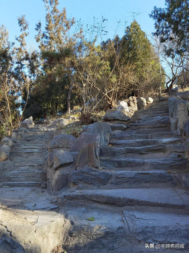 一隅山水鬧市藏 精巧布景多風光——北京東單公園冬日時光