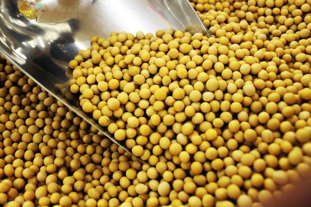 大豆价格“偃旗息鼓”，短期内很难大涨，4月9日全国大豆价格
