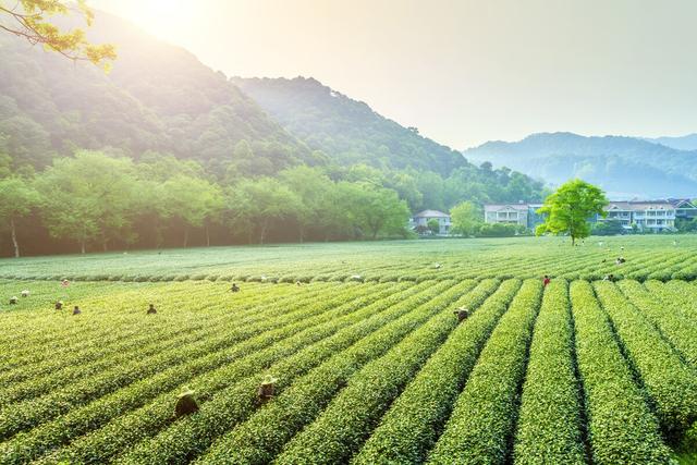 四月十六巳月巳，“月食巳月巳，夏至必风雨”，啥意思？什么预兆