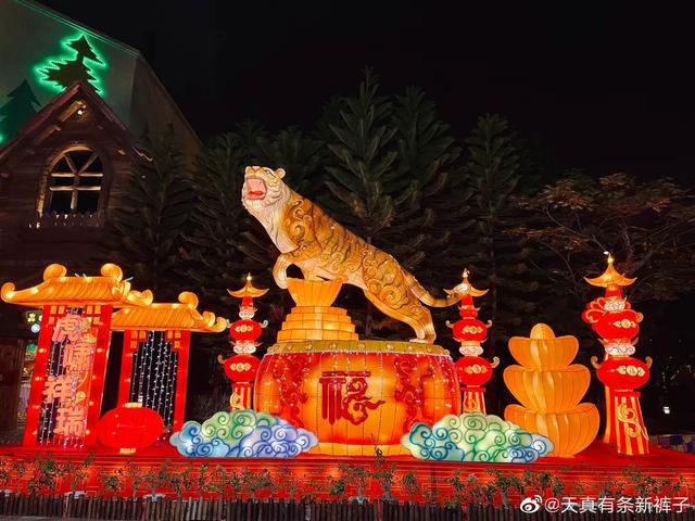 福建工程灯光展
