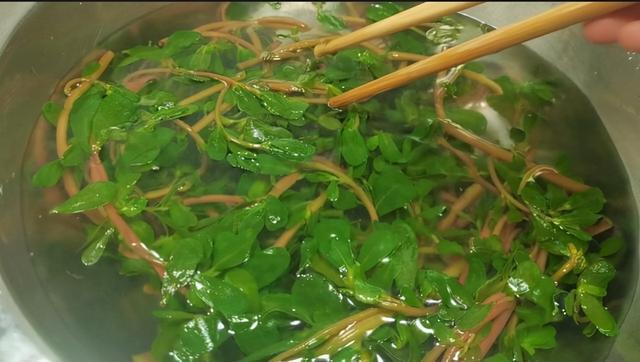 这7类蔬菜带“毒素”？医生：吃前请焯水，再懒也别忽视