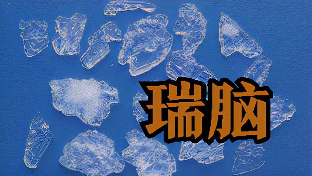 瑞脑(瑞脑消金兽的意思) | 伯乐创业网