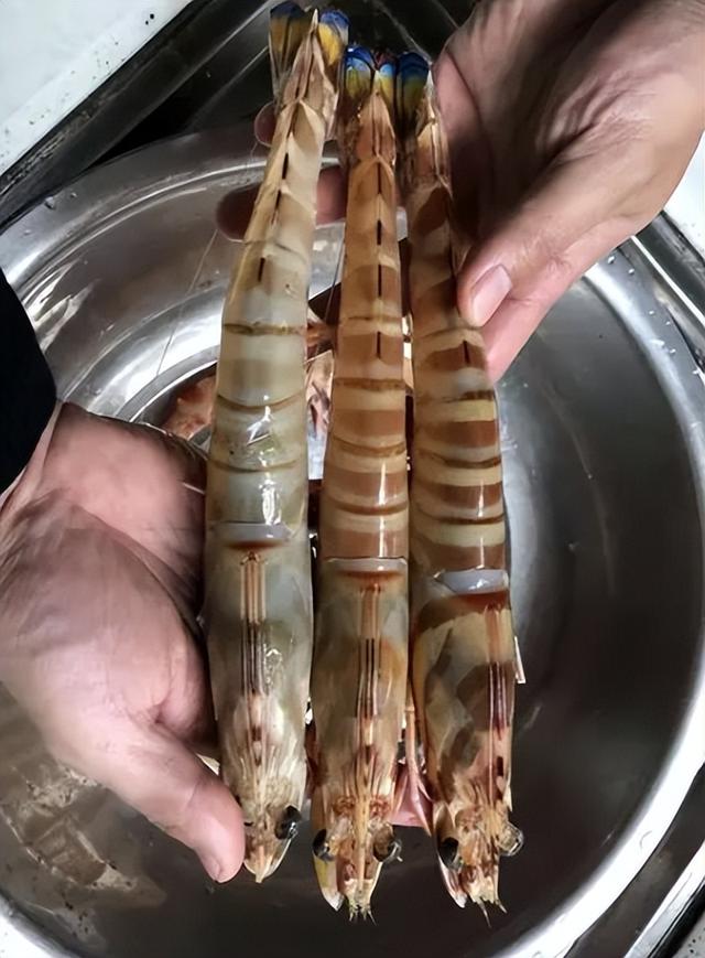 含“寄生虫”最多的3种海鲜，重金属严重超标，老板自己从不吃