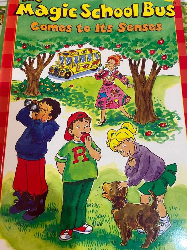 坚持3年刷《牛津树》等，孩子已积累3千单词，10本桥梁书无缝衔接