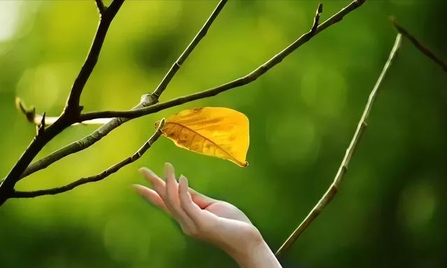 人生会有的“四大错觉”，越早认清越好