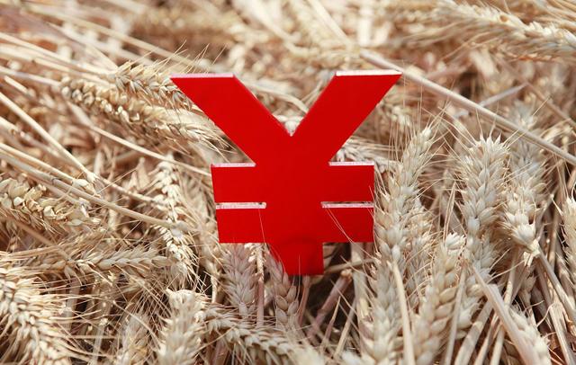 预警升级！麦价“变脸”，猪价涨翻天，蛋价大涨24%，发生了啥？