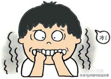 手凉脚凉？送你三味中药，温熙四末，让你在寒冷的冬日，阳气满满