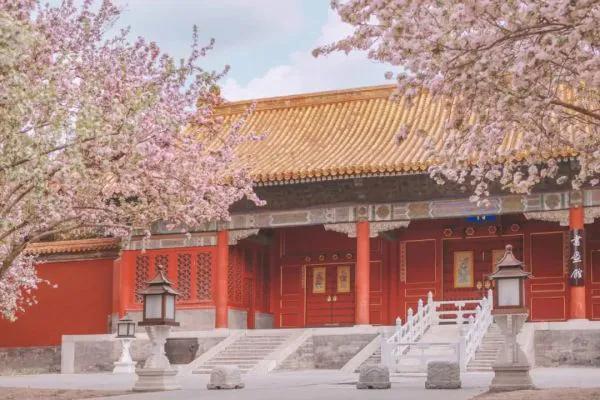 一道閃電劈在故宮牆上，遊客發現，一群穿古裝的宮女在牆上行走