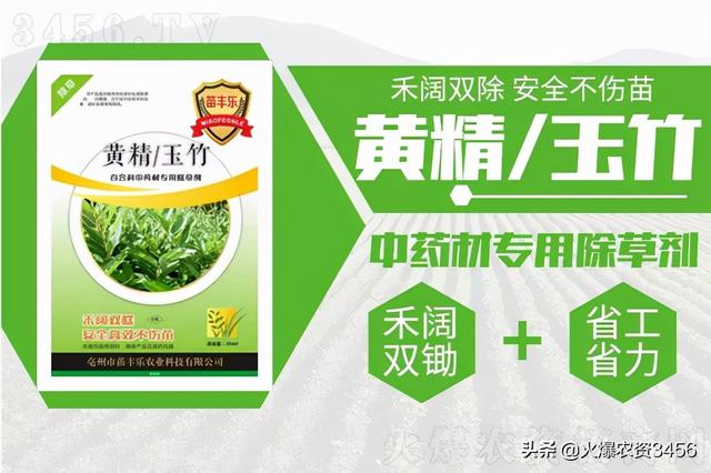 种植黄精怕除草？有了它，彻底铲除杂草不伤苗2