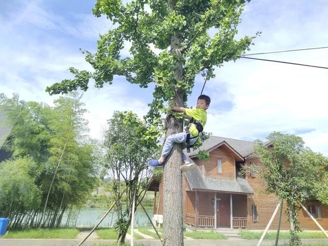 问题少年心理成长军事化管理学校(管理问题少年的学校)(图22)