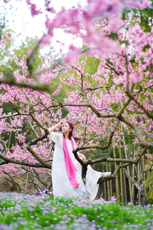 梦中那一片桃花林