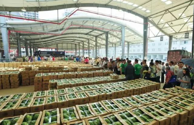 水果大型批发市场系列——重庆双福国际农贸城3