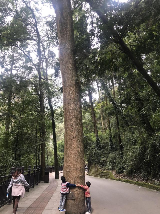 一不小心又成了夜遊~周末街子古鎮康道徒步到光嚴禅院~腳都走麻了