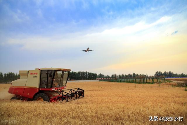 新毒株XE出现，比奥米克戎传播更快，粮食、蔬菜和猪肉会涨价吗
