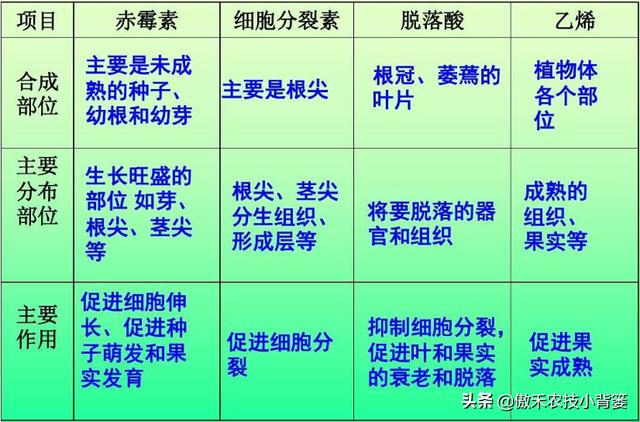 植物生长调节剂＝激素？其功能作用、药害症状及补救方法有哪些？5