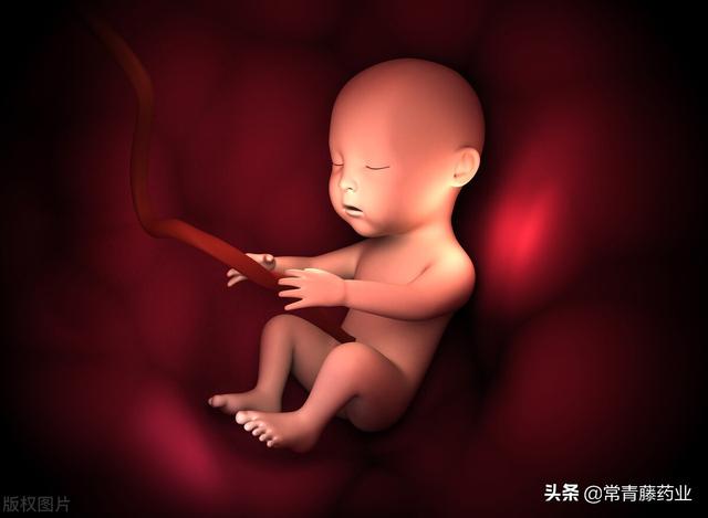 罕见火胶棉样婴儿被成功救治，此病有多恐怖？只有10%可恢复正常