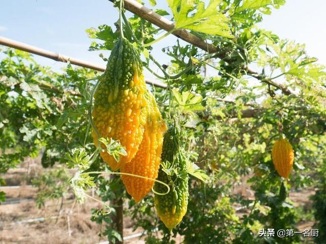建议中老年人：春季要多吃6种“碱性蔬菜”，调节平衡，润燥去火