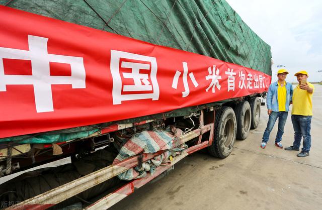 经济安全系列之二：“全球粮荒”来袭，我国的粮食安全还好吗？